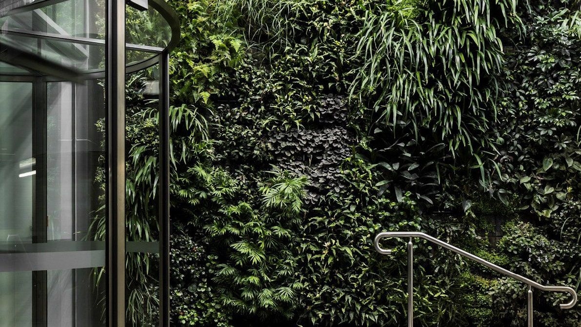 plant, vegetation, garden, nature, outdoors, land, rainforest, tree, indoors, interior design