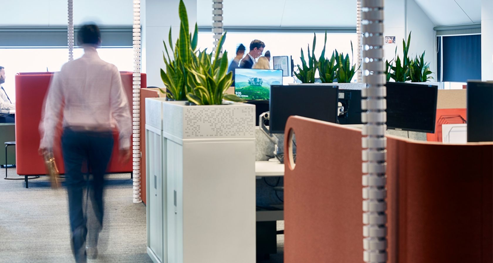 potted plant, adult, male, man, person, planter, furniture, table, indoors, desk