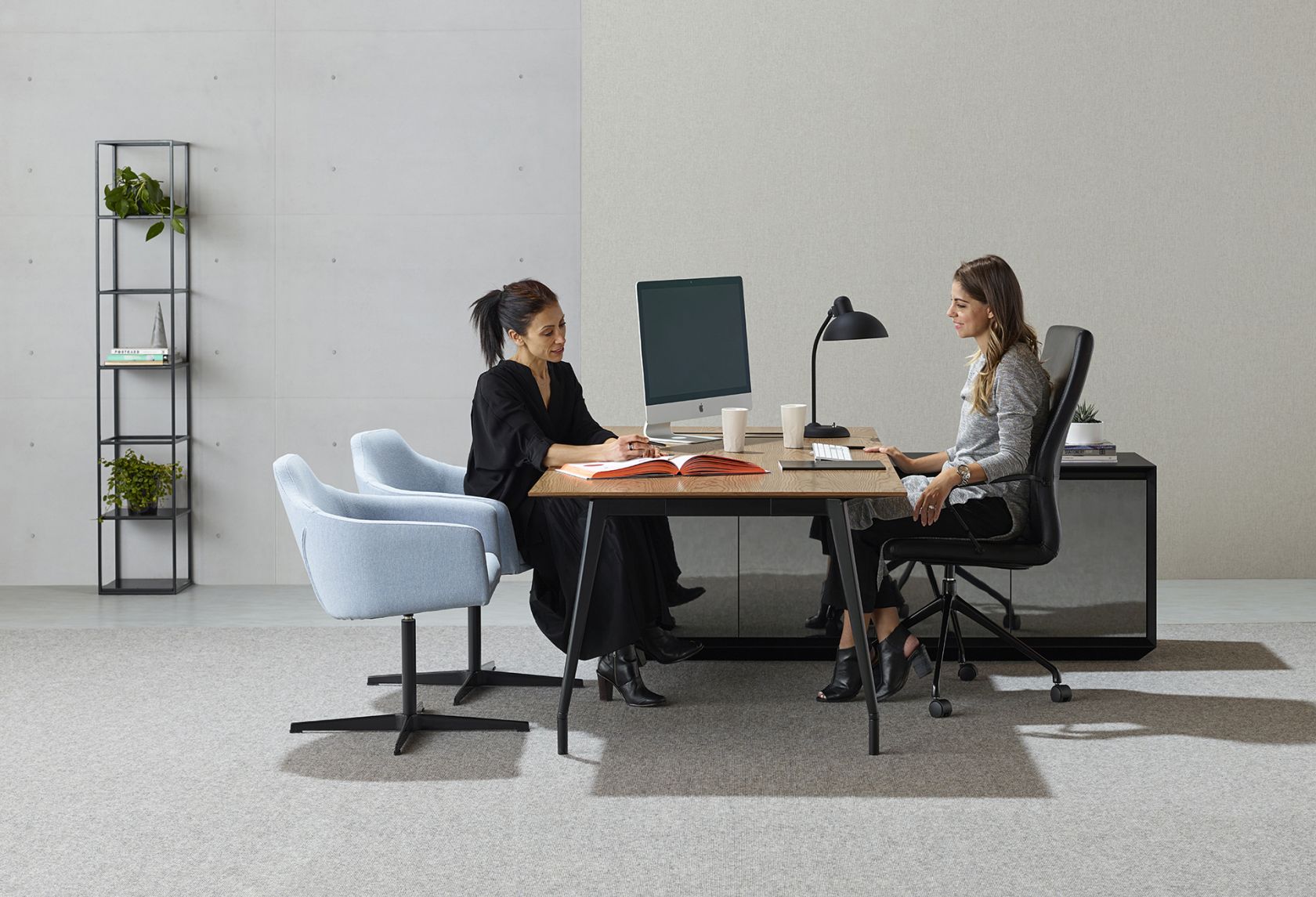 furniture, adult, female, person, woman, chair, table, indoors, plant, monitor