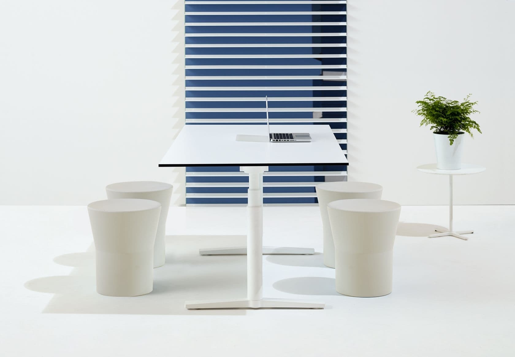 desk, furniture, table, plant, dining table, standing desk