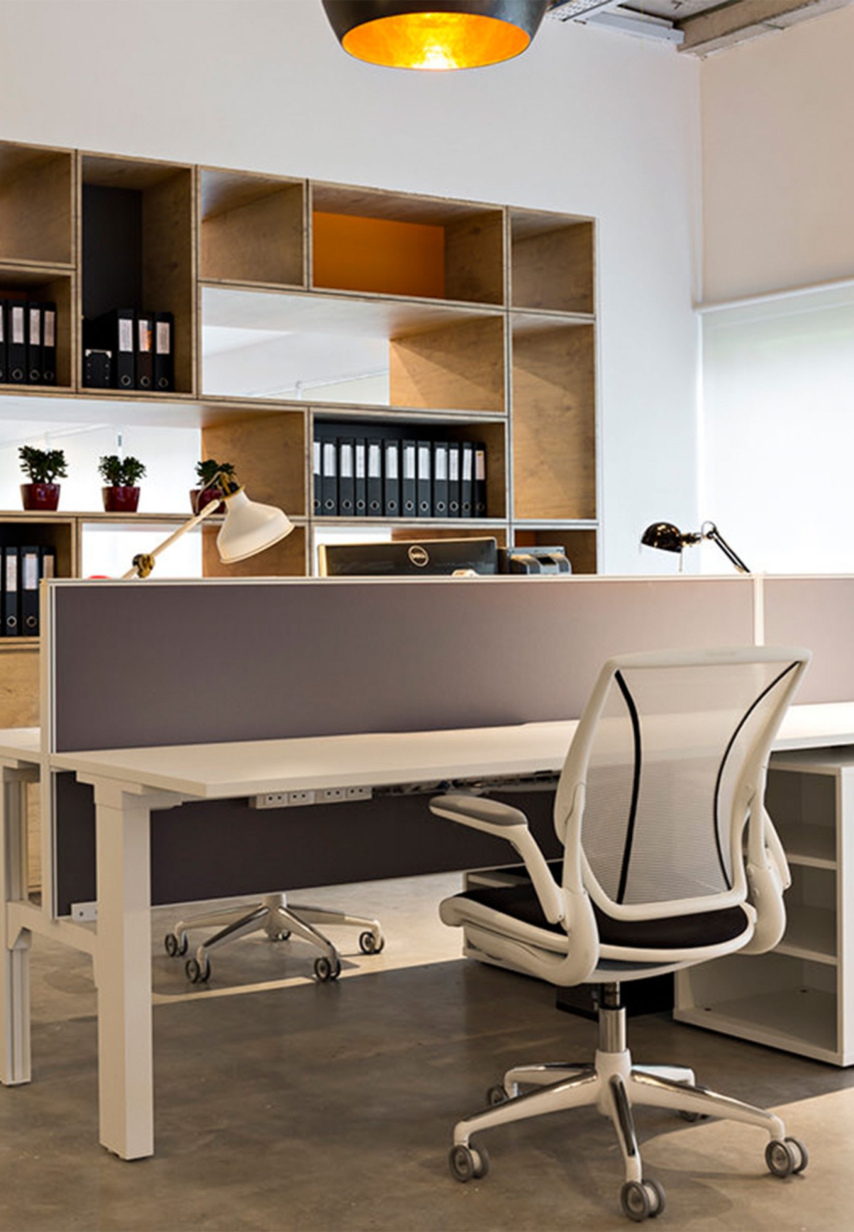 indoors, furniture, chair, office, plant, office chair