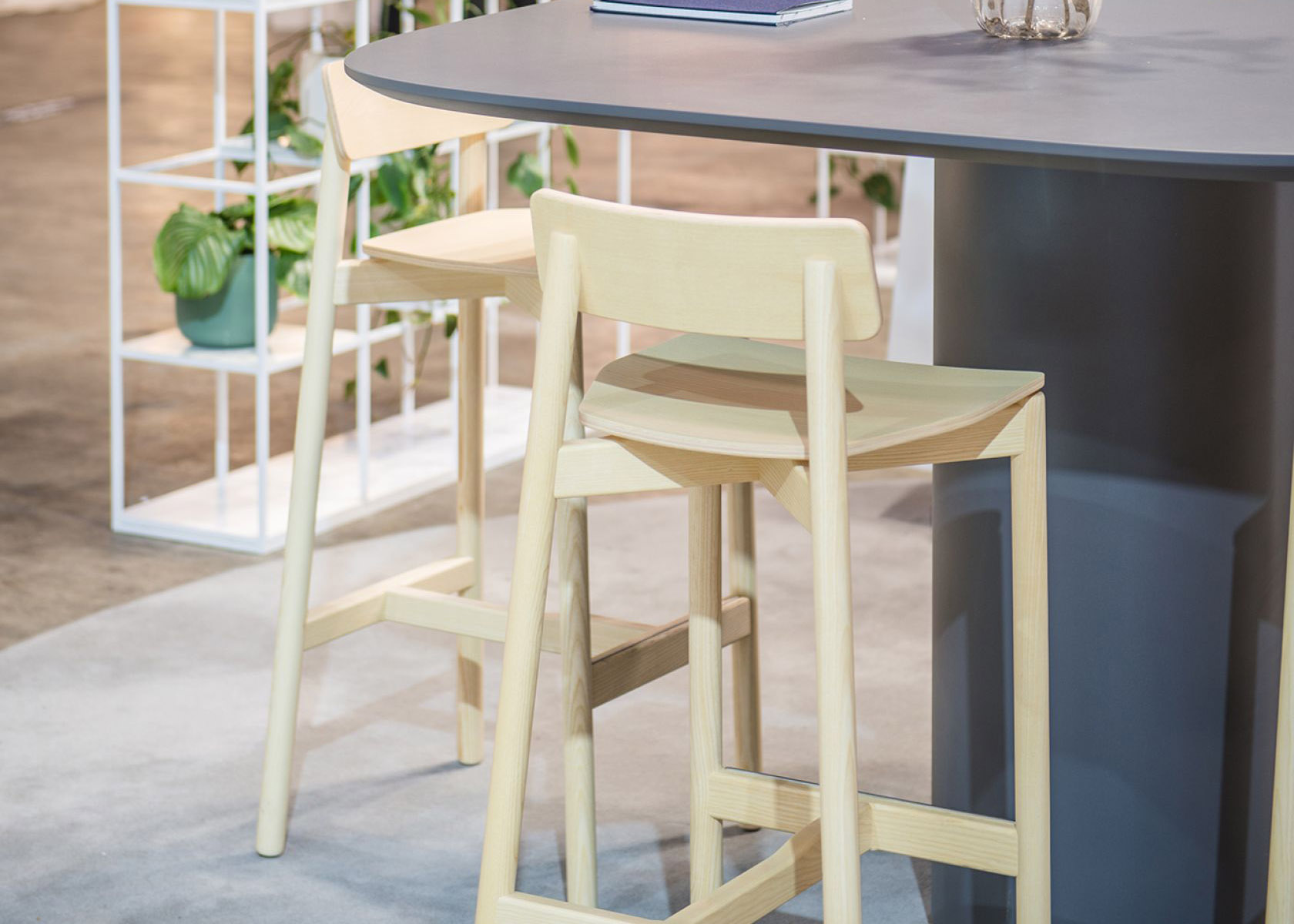 furniture, chair, plant, table, dining table