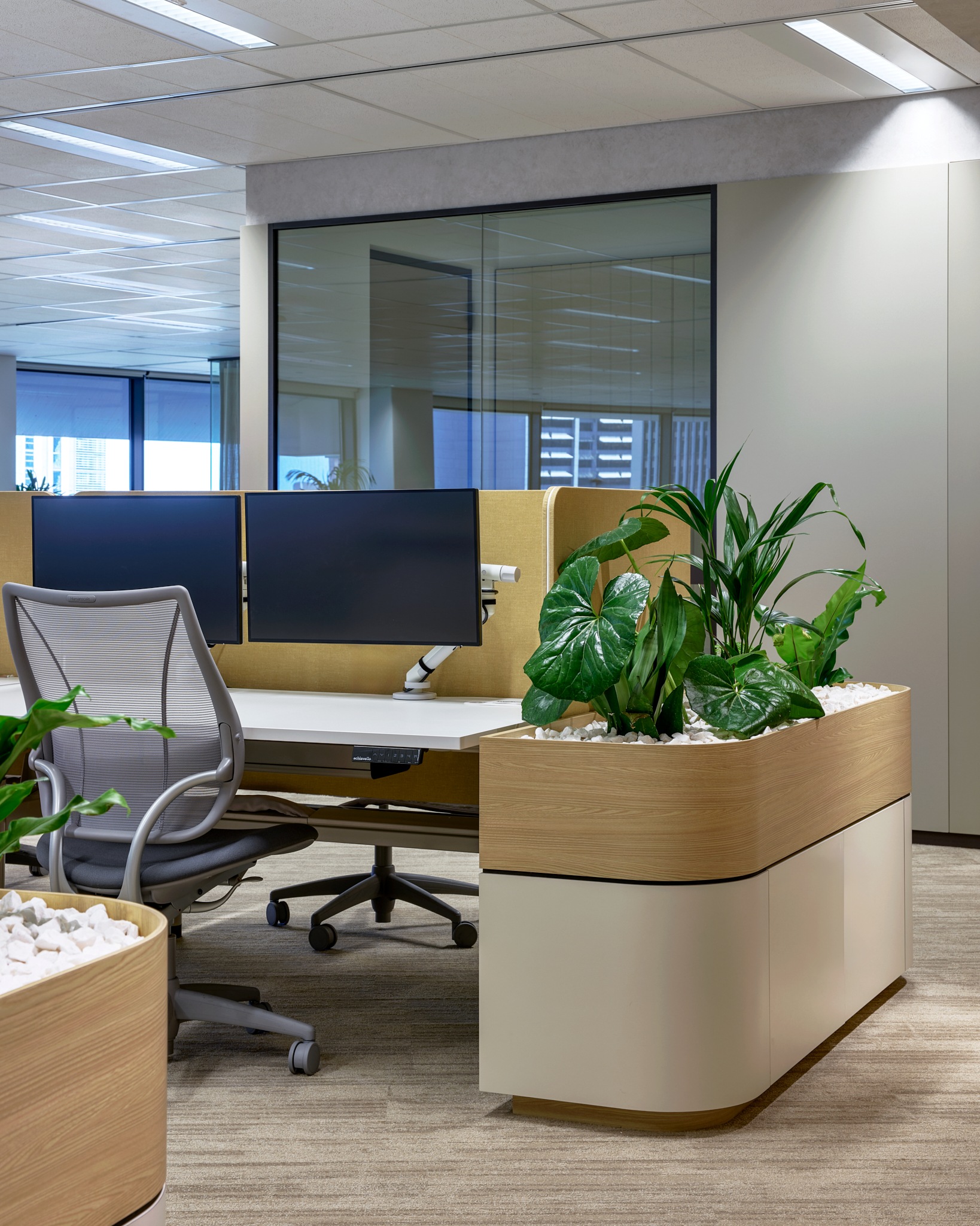 indoors, furniture, chair, plant, potted plant, table, office, hardware, monitor, screen