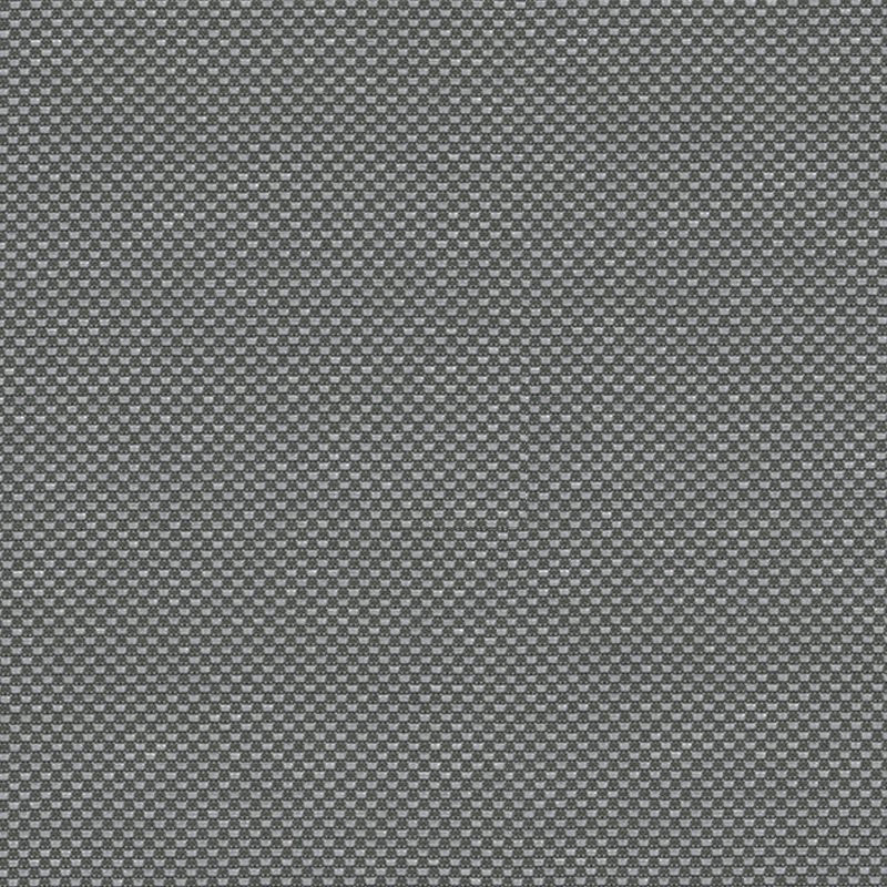 Banksia Smoke Grey