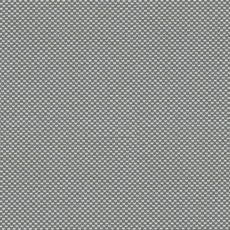 Banksia Koala Grey