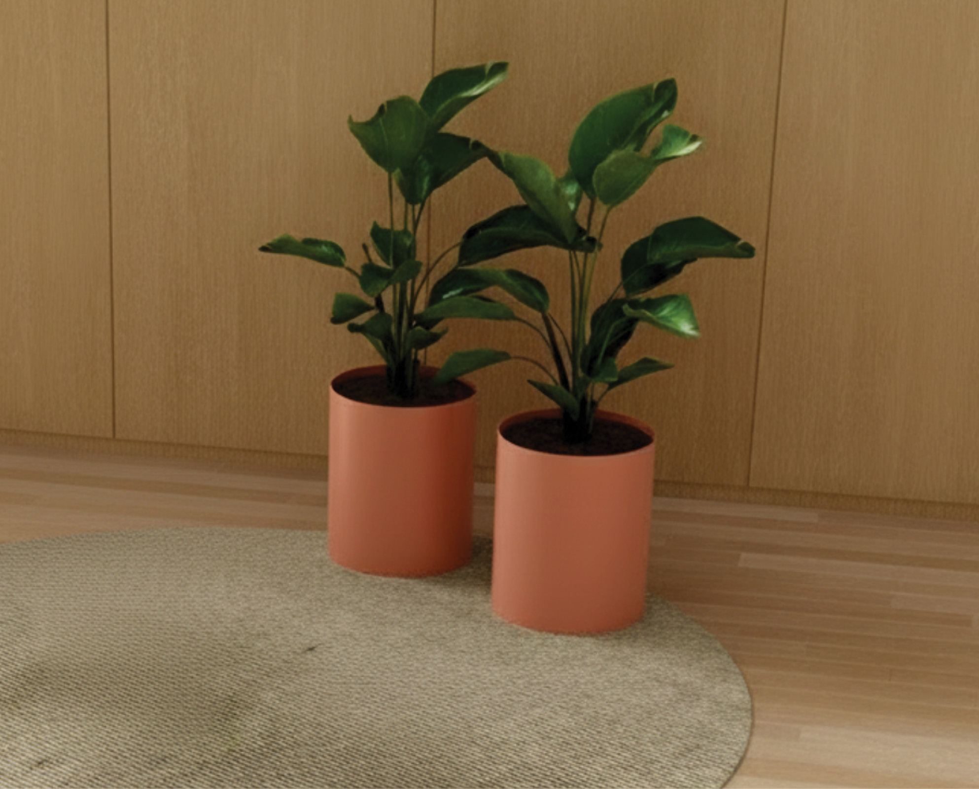plant, potted plant, jar, planter, pottery, vase, leaf