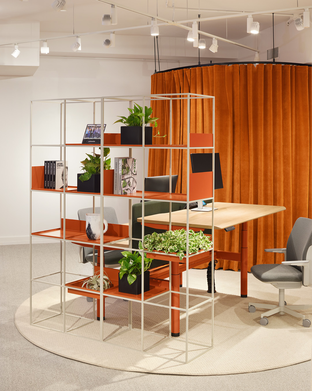 plant, potted plant, furniture, table, indoors, interior design, chair, cup, desk, rug