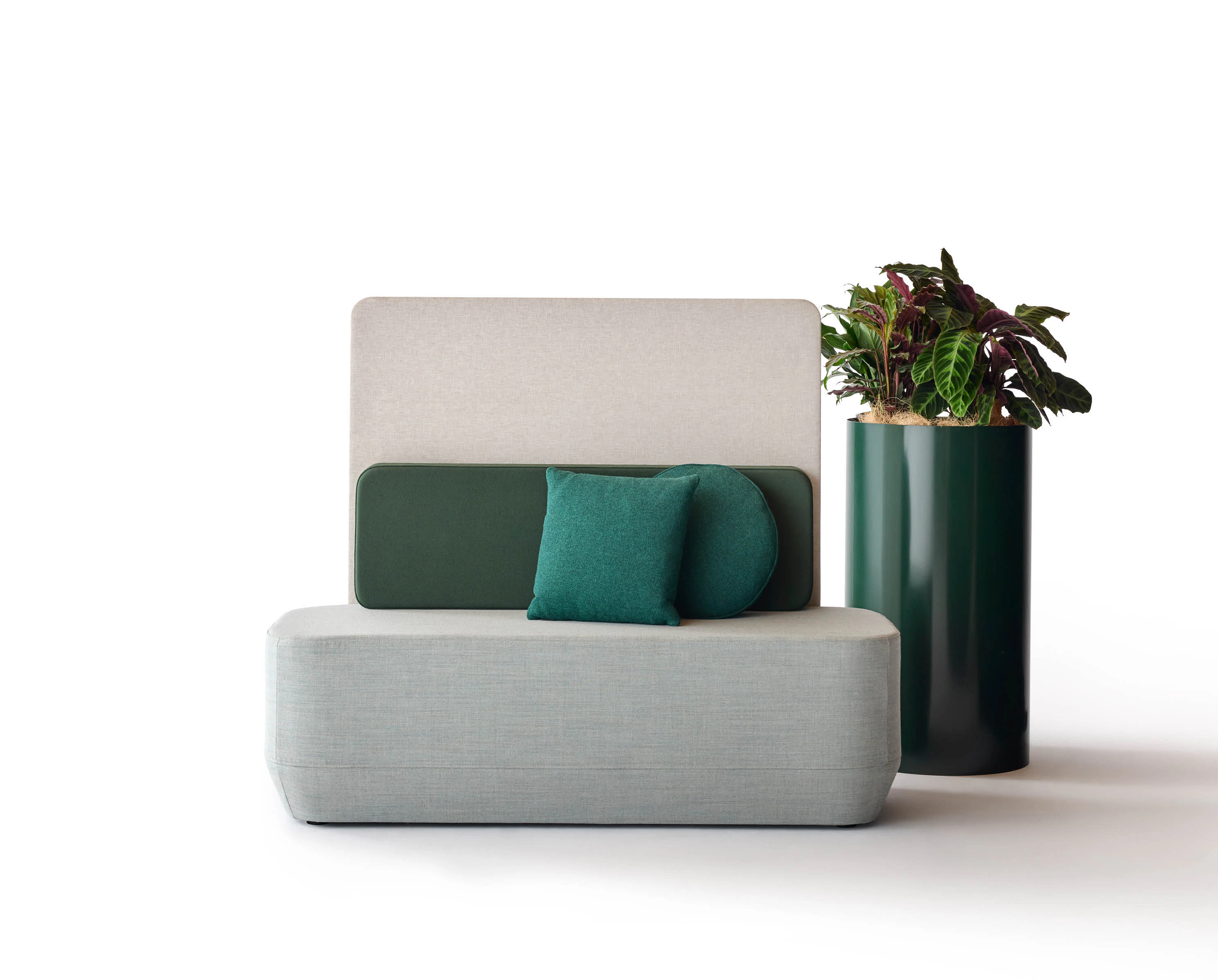 jar, plant, planter, potted plant, pottery, vase, cushion, home decor, couch, chair